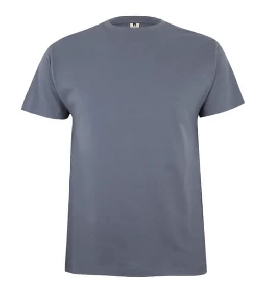AVACORE Koszulka T-shirt PALM szara - zdjęcie 1