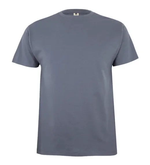 AVACORE Koszulka T-shirt PALM szara